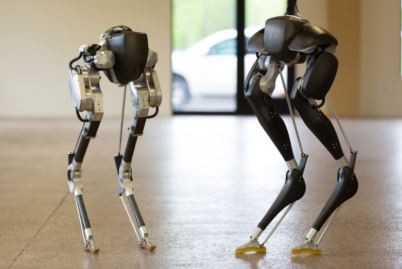 Robot-Cassie-enseña-a-andar-a-otros-robots-bípedos.jpg